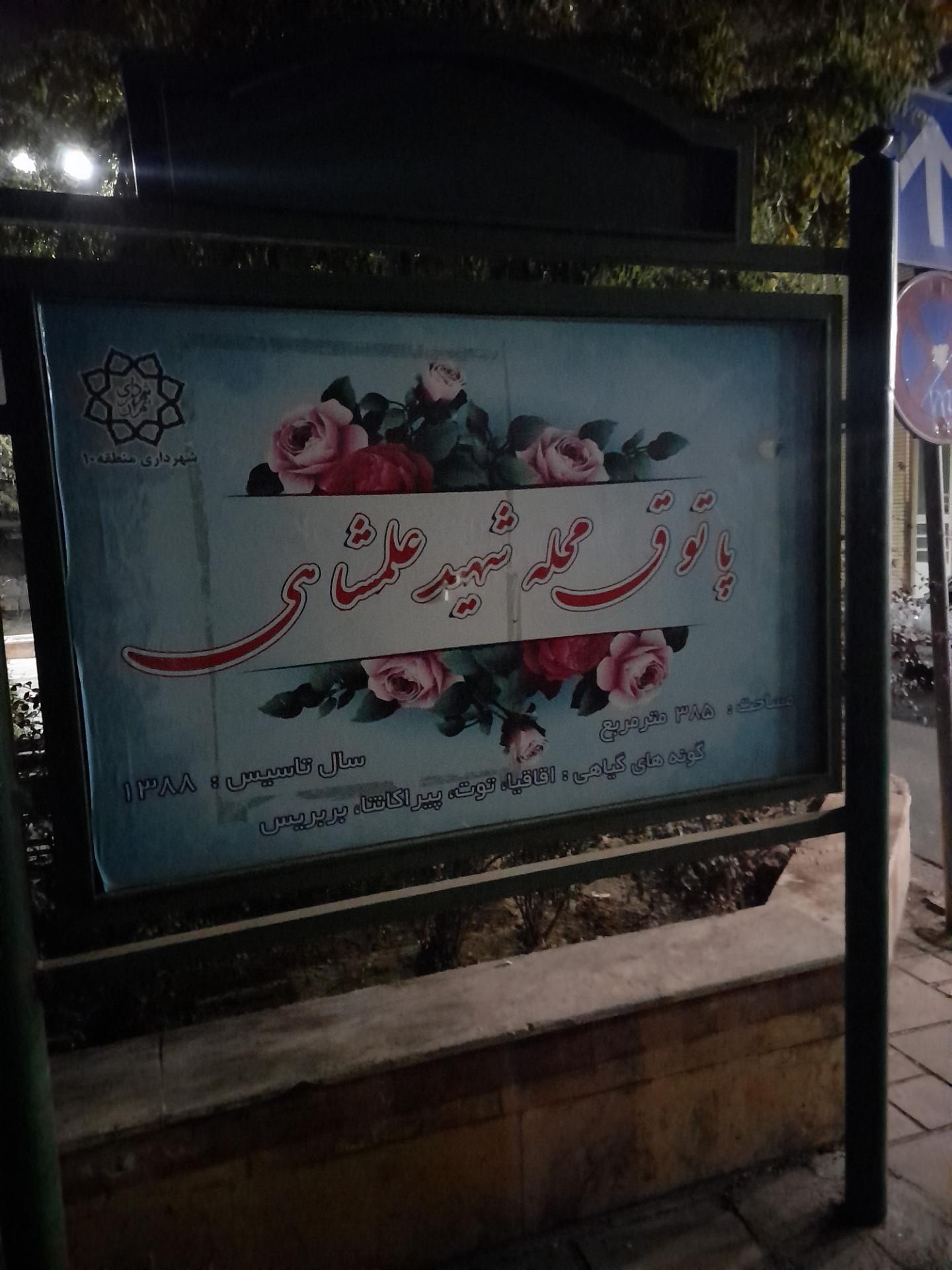 عکس پاتوق محله علمشاهی
