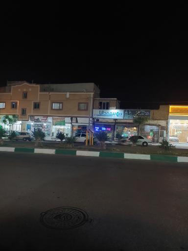 بیمه دانا 