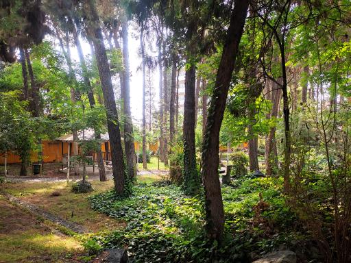 عکس بوستان ژاپنی کوی دانشگاه تهران