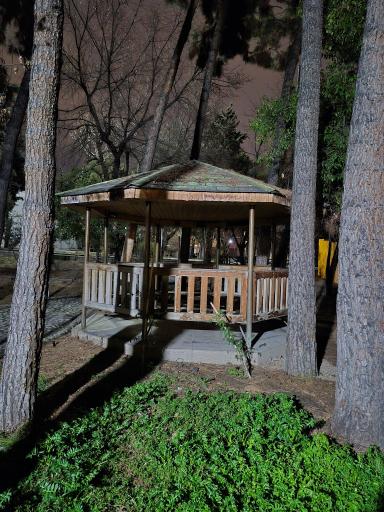 عکس بوستان ژاپنی کوی دانشگاه تهران