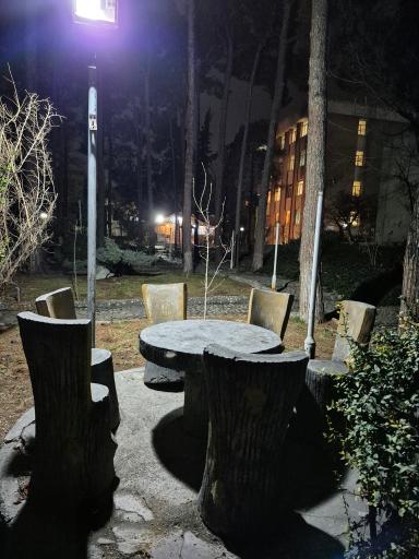 عکس بوستان ژاپنی کوی دانشگاه تهران