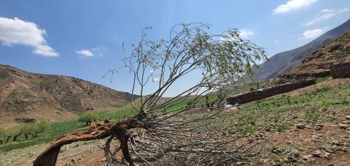 عکس آبشار افجه