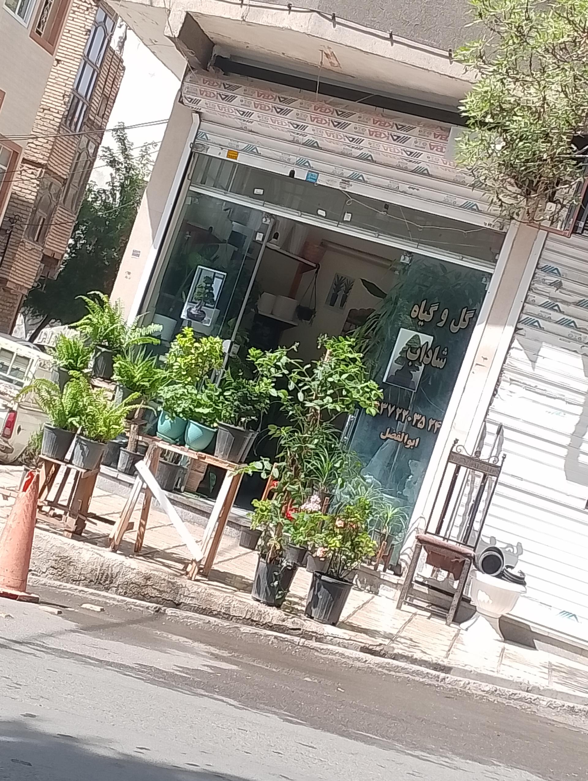 عکس گل فروشی شاداب