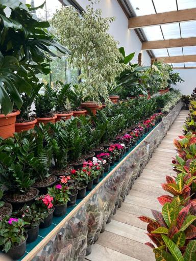 عکس خانه گل 