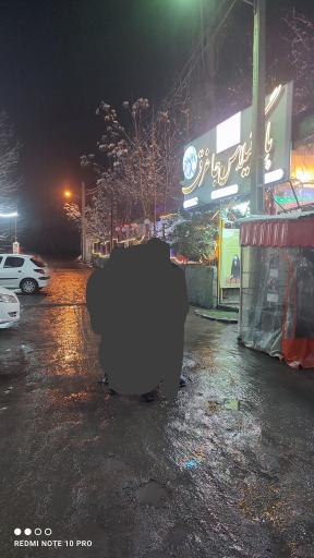 عکس رستوران باغ گیلاس