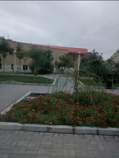 عکس سالن ورزشی معلم