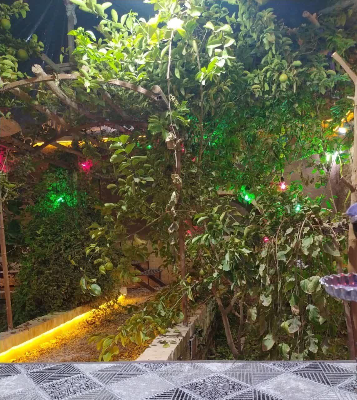 عکس کافه دانشجو