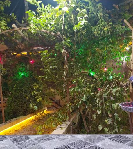 عکس کافه دانشجو