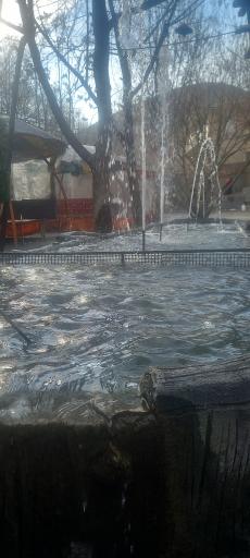 عکس رستوران باغ گیلاس