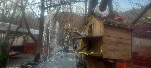 عکس رستوران باغ گیلاس