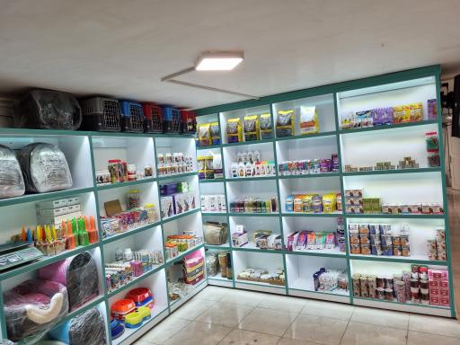 عکس کلینیک دامپزشکی و پت شاپ بل