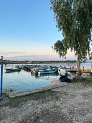 عکس اسکله مرکزی قایقهای موتوری