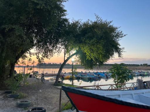 عکس اسکله مرکزی قایقهای موتوری