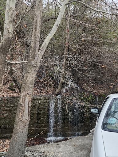 عکس رستوران باغ گیلاس