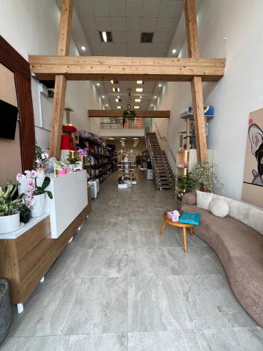 عکس کلینیک دامپزشکی دریس