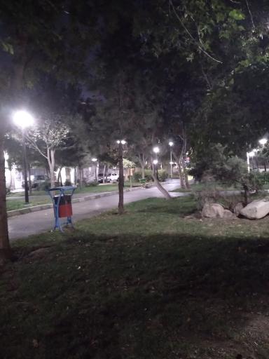 عکس بوستان شب بو