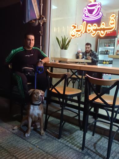 عکس ایچ کافی