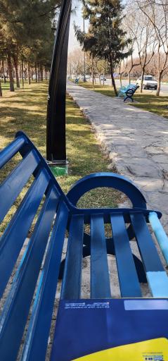 عکس بوستان شب بو