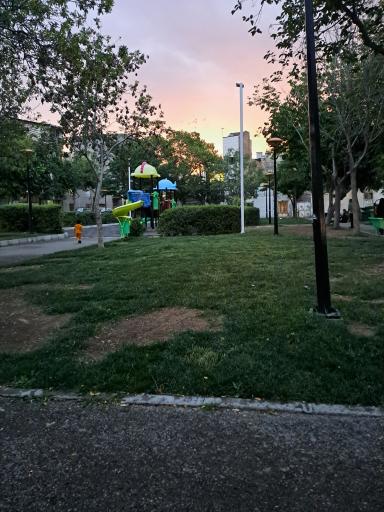 عکس بوستان شب بو