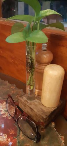 عکس کافه رستوران آبیژ