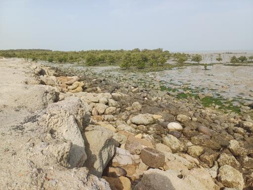 عکس بوستان هلر