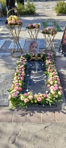 عکس آرامگاه ابدی مانیا همکار