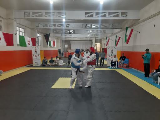 عکس خانه تکواندو