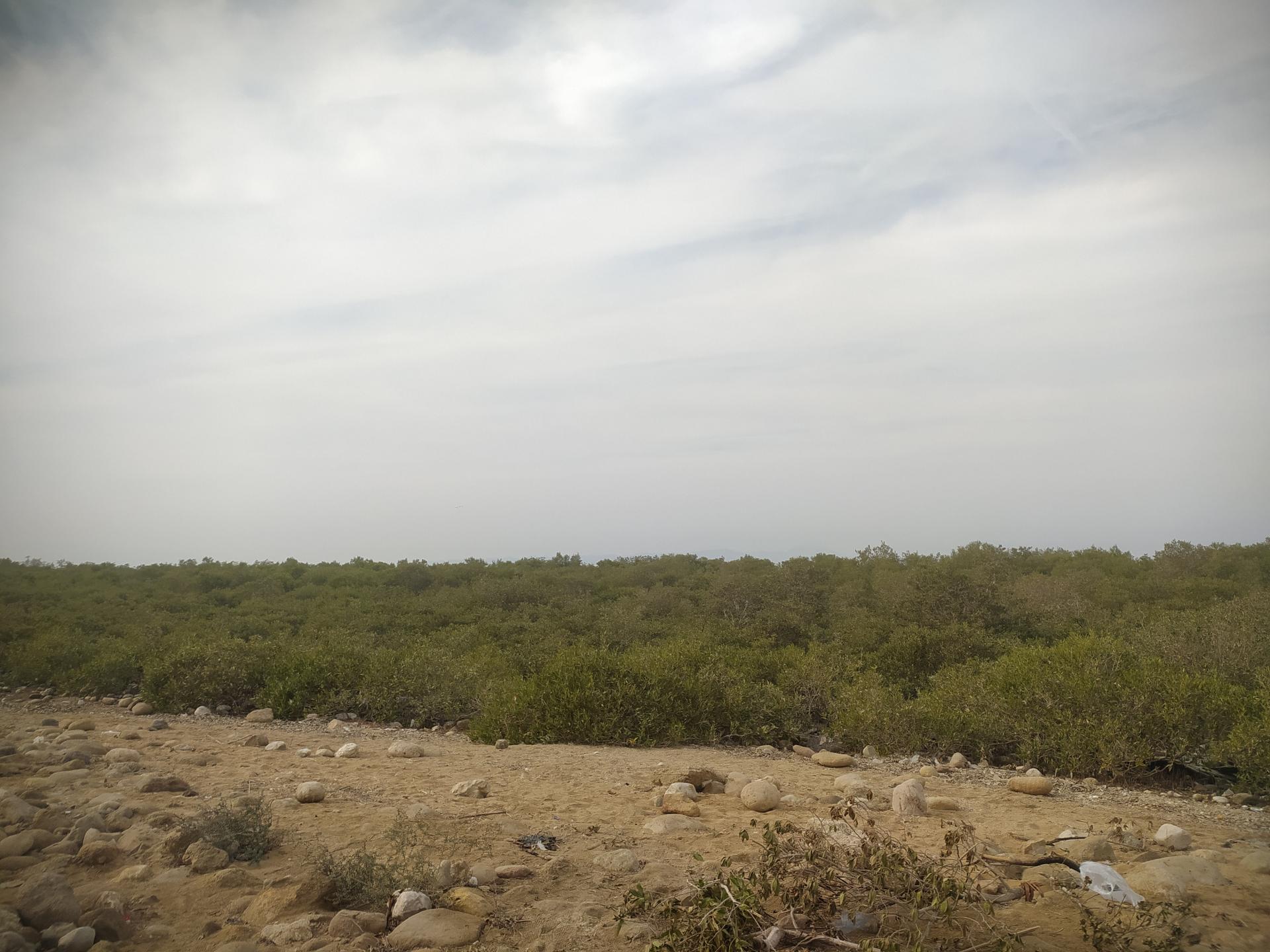 عکس بوستان هلر