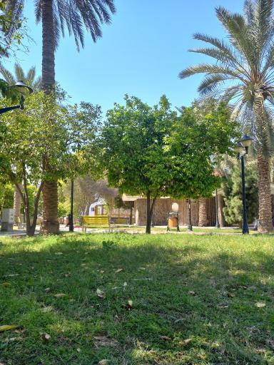 عکس پارک جام جم