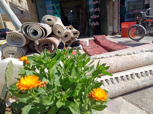 عکس قالیشویی حافظ شیراز