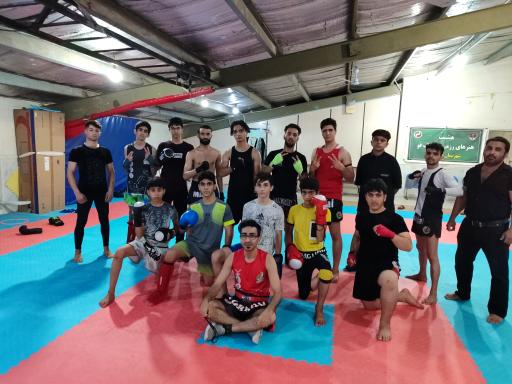 عکس خانه موی تای