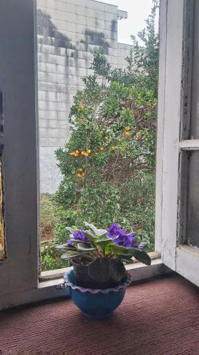 عکس فرهنگسرای سبز 