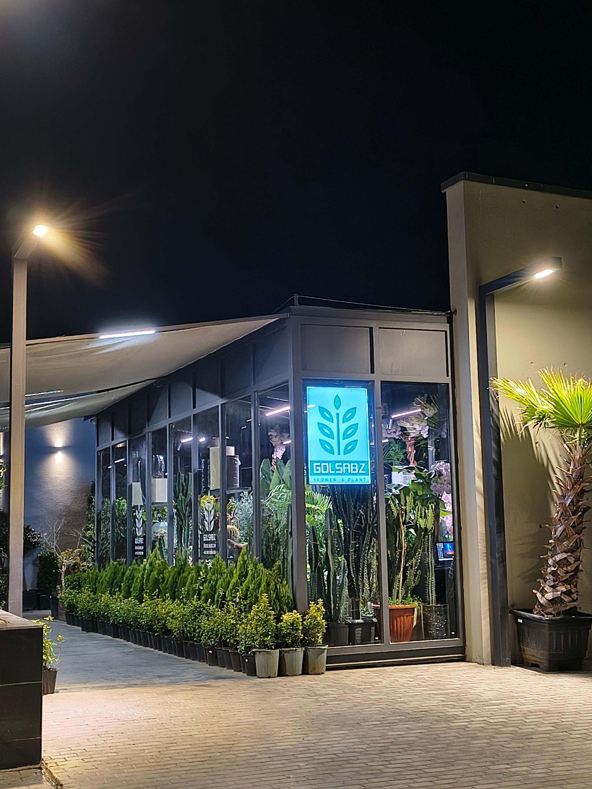 عکس گل فروشی گل سبز