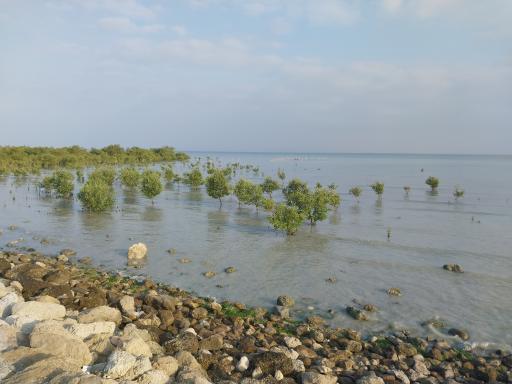 عکس بوستان هلر