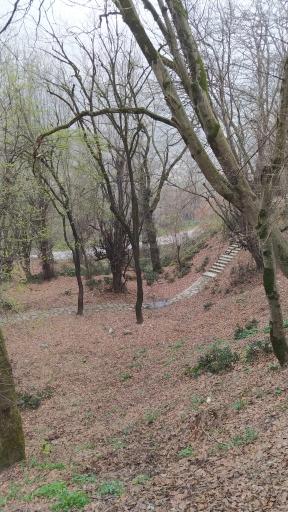 عکس اقامتگاه جنگلی آزادمهر (نسوم)