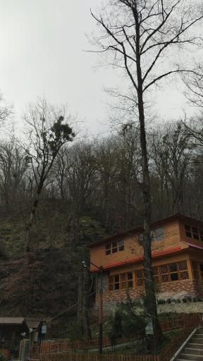 عکس اقامتگاه جنگلی آزادمهر (نسوم)