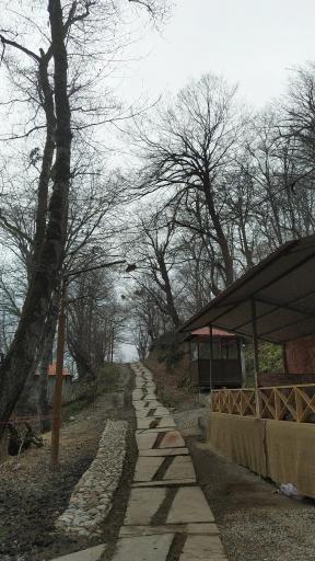 عکس اقامتگاه جنگلی آزادمهر (نسوم)