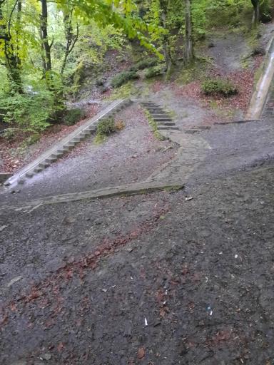 عکس اقامتگاه جنگلی آزادمهر (نسوم)