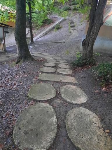 عکس اقامتگاه جنگلی آزادمهر (نسوم)