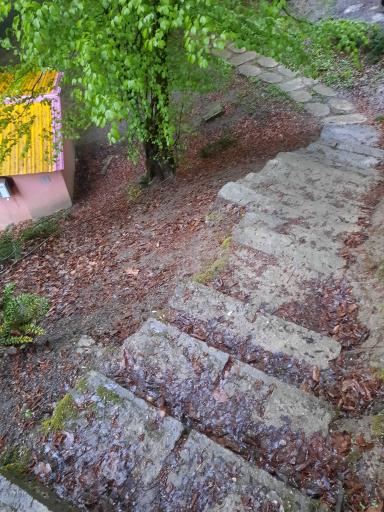 عکس اقامتگاه جنگلی آزادمهر (نسوم)