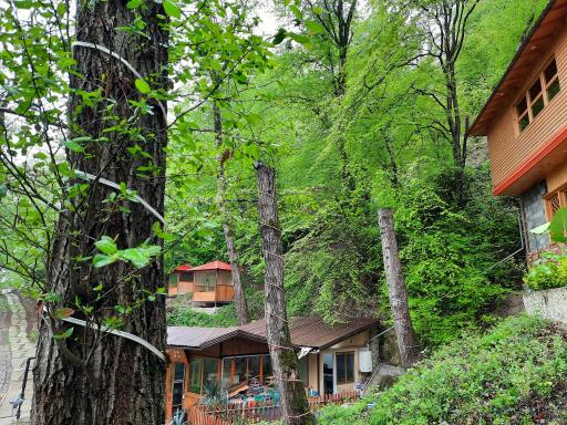 عکس اقامتگاه جنگلی آزادمهر (نسوم)