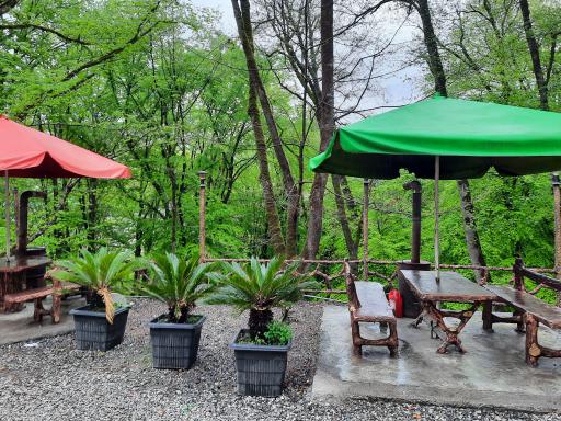 عکس اقامتگاه جنگلی آزادمهر (نسوم)