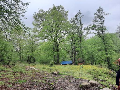 عکس اقامتگاه جنگلی آزادمهر (نسوم)