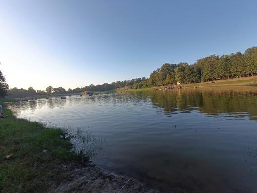 عکس کاخ عباس آباد