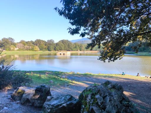 عکس کاخ عباس آباد