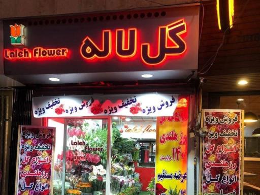 عکس گل لاله