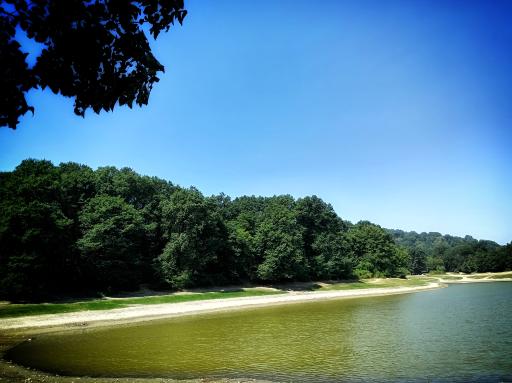 عکس کاخ عباس آباد