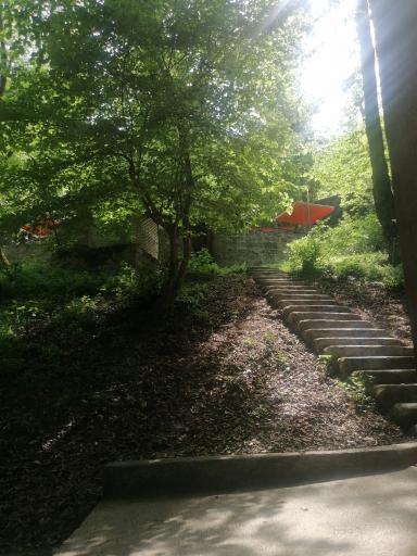 عکس اقامتگاه جنگلی آزادمهر (نسوم)