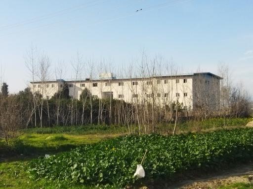 عکس موسسه آموزش عالی غیر انتفاعی توحید گلوگاه