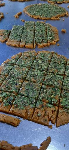 عکس سوهان عاطفی